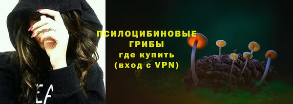 амф Алексин
