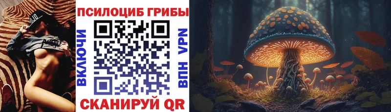 Галлюциногенные грибы ЛСД  купить наркотики сайты  Прохладный 